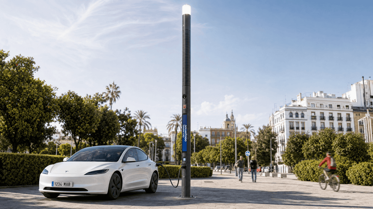Seville Smart Streetlight Technical Fit: 10m Ø219mm Flush-Integrated Pole Configuration Guide
